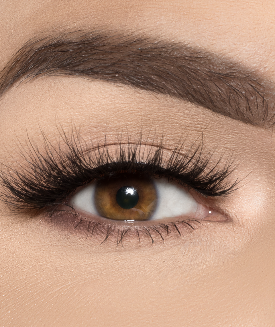 Fixated Order Fake Eyelashes Online FIXATION